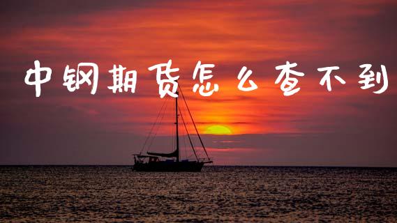 中钢期货怎么查不到_https://wap.sdxiaoxijinshu.com_期货_第1张