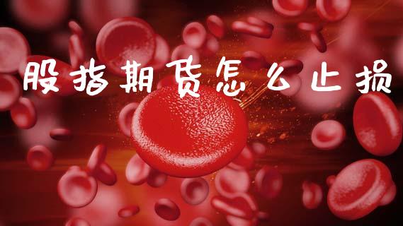 股指期货怎么止损_https://wap.sdxiaoxijinshu.com_期货_第1张