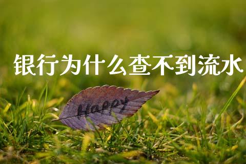 银行为什么查不到流水_https://wap.sdxiaoxijinshu.com_理财_第1张