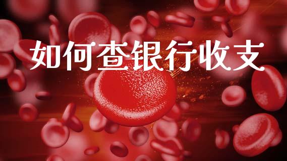 如何查银行收支_https://wap.sdxiaoxijinshu.com_理财_第1张