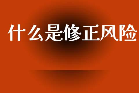 什么是修正风险_https://wap.sdxiaoxijinshu.com_期货_第1张