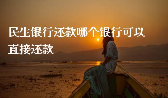 民生银行还款哪个银行可以直接还款_https://wap.sdxiaoxijinshu.com_理财_第1张