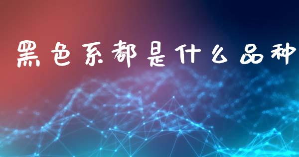 黑色系都是什么品种_https://wap.sdxiaoxijinshu.com_期货_第1张