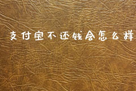 支付宝不还钱会怎么样_https://wap.sdxiaoxijinshu.com_财经_第1张
