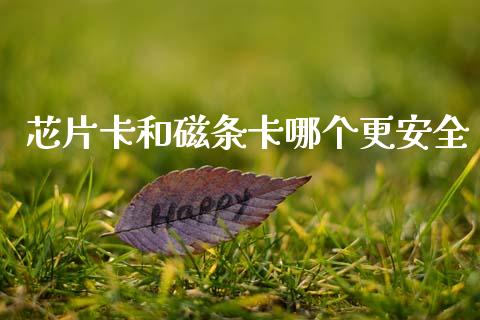 芯片卡和磁条卡哪个更安全_https://wap.sdxiaoxijinshu.com_期货_第1张