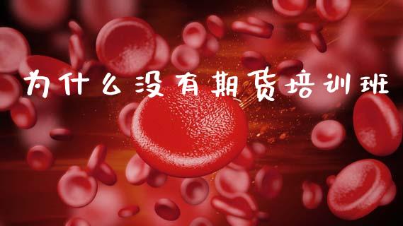 为什么没有期货培训班_https://wap.sdxiaoxijinshu.com_期货_第1张