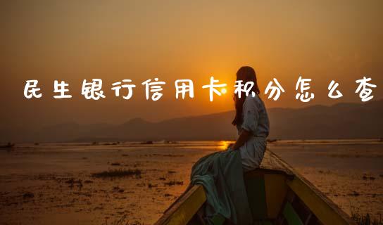 民生银行信用卡积分怎么查_https://wap.sdxiaoxijinshu.com_金融_第1张