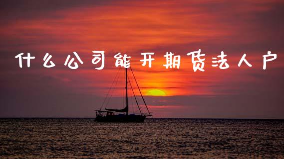 什么公司能开期货法人户_https://wap.sdxiaoxijinshu.com_期货_第1张