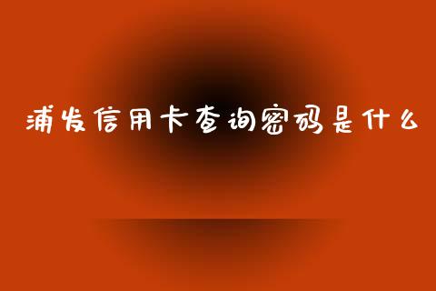 浦发信用卡查询密码是什么_https://wap.sdxiaoxijinshu.com_金融_第1张