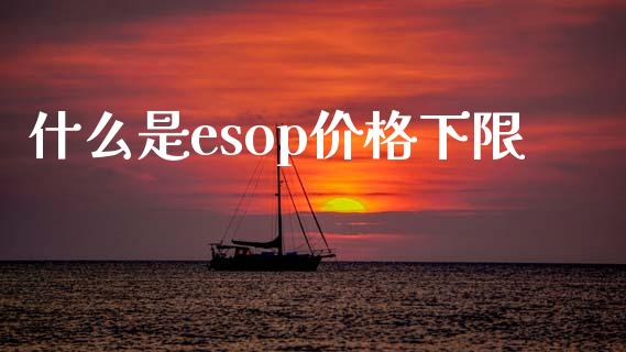 什么是esop价格下限_https://wap.sdxiaoxijinshu.com_期货_第1张