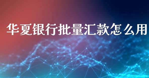 华夏银行批量汇款怎么用_https://wap.sdxiaoxijinshu.com_期货_第1张