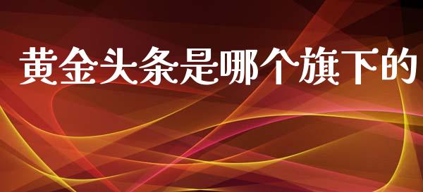 黄金头条是哪个旗下的_https://wap.sdxiaoxijinshu.com_财经_第1张