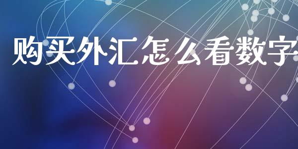 购买外汇怎么看数字_https://wap.sdxiaoxijinshu.com_财经_第1张