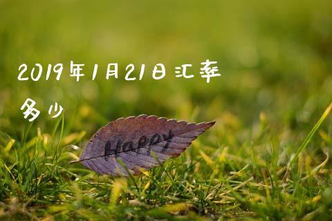 2019年1月21日汇率多少_https://wap.sdxiaoxijinshu.com_财经_第1张
