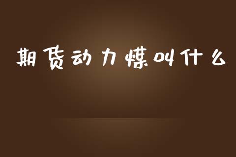 期货动力煤叫什么_https://wap.sdxiaoxijinshu.com_期货_第1张