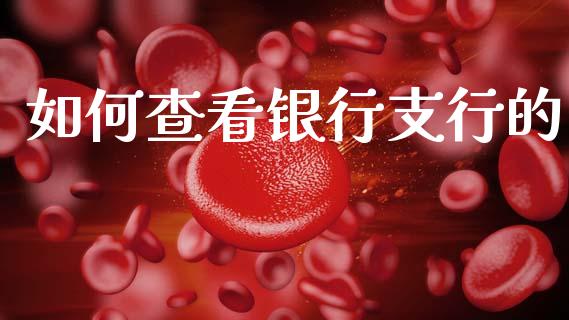 如何查看银行支行的_https://wap.sdxiaoxijinshu.com_理财_第1张