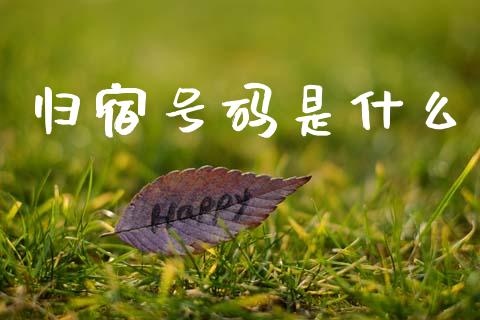归宿号码是什么_https://wap.sdxiaoxijinshu.com_理财_第1张