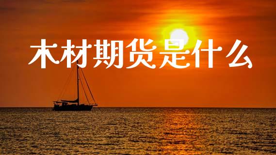 木材期货是什么_https://wap.sdxiaoxijinshu.com_期货_第1张