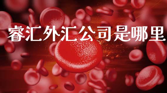 睿汇外汇公司是哪里_https://wap.sdxiaoxijinshu.com_财经_第1张