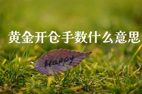 黄金开仓手数什么意思_https://wap.sdxiaoxijinshu.com_期货_第1张