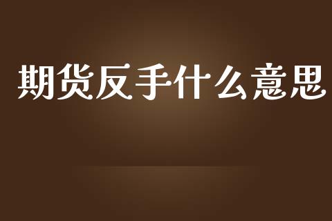 期货反手什么意思_https://wap.sdxiaoxijinshu.com_期货_第1张