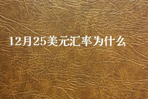 12月25美元汇率为什么_https://wap.sdxiaoxijinshu.com_金融_第1张