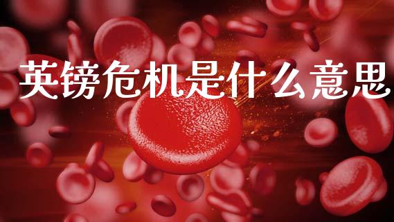 英镑危机是什么意思_https://wap.sdxiaoxijinshu.com_财经_第1张