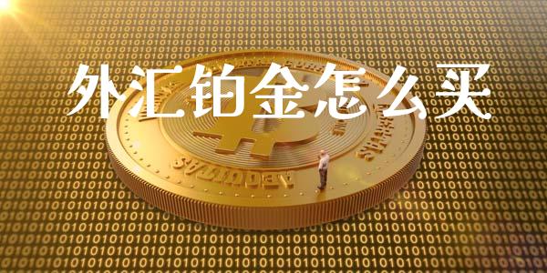 外汇铂金怎么买_https://wap.sdxiaoxijinshu.com_财经_第1张