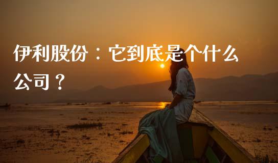 伊利股份：它到底是个什么公司？_https://wap.sdxiaoxijinshu.com_金融_第1张