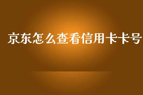 京东怎么查看信用卡卡号_https://wap.sdxiaoxijinshu.com_金融_第1张