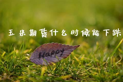 玉米期货什么时候能下跌_https://wap.sdxiaoxijinshu.com_期货_第1张