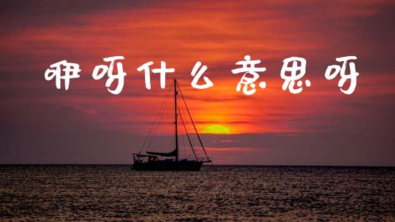 咿呀什么意思呀_https://wap.sdxiaoxijinshu.com_期货_第1张