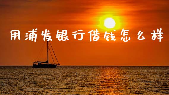 用浦发银行借钱怎么样_https://wap.sdxiaoxijinshu.com_理财_第1张