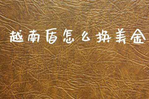 越南盾怎么换美金_https://wap.sdxiaoxijinshu.com_财经_第1张