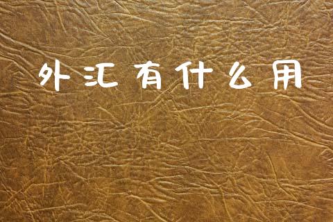 外汇有什么用_https://wap.sdxiaoxijinshu.com_财经_第1张