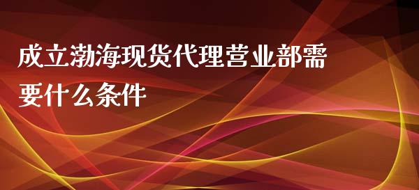 成立渤海现货代理营业部需要什么条件_https://wap.sdxiaoxijinshu.com_期货_第1张