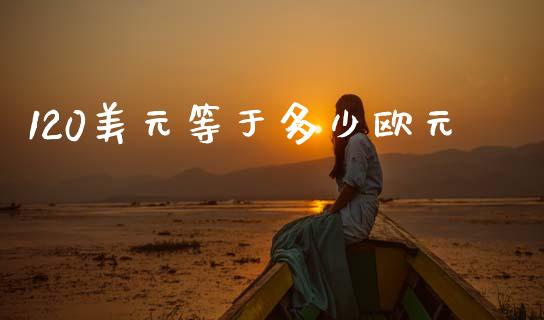 120美元等于多少欧元_https://wap.sdxiaoxijinshu.com_财经_第1张