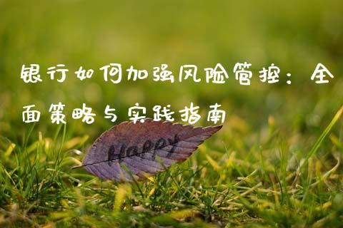 银行如何加强风险管控：全面策略与实践指南_https://wap.sdxiaoxijinshu.com_金融_第1张
