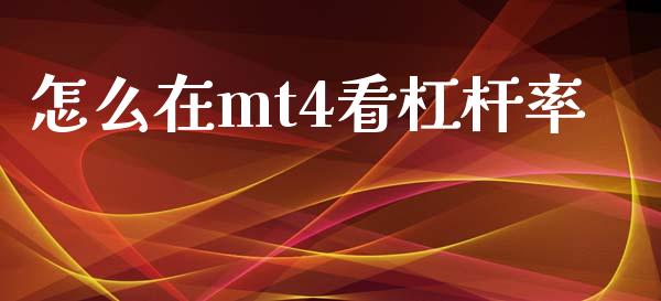 怎么在mt4看杠杆率_https://wap.sdxiaoxijinshu.com_财经_第1张