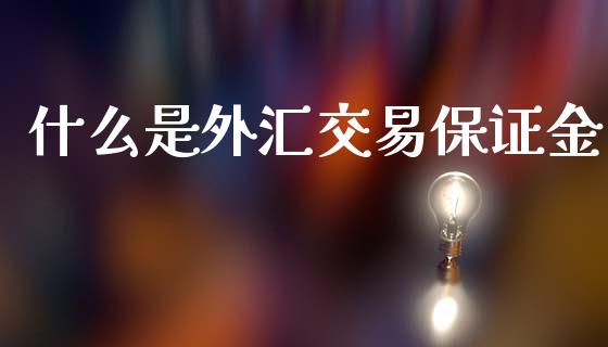 什么是外汇交易保证金_https://wap.sdxiaoxijinshu.com_财经_第1张