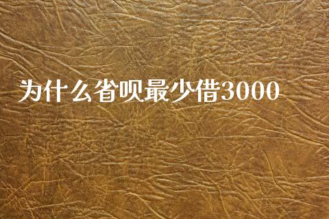 为什么省呗最少借3000_https://wap.sdxiaoxijinshu.com_理财_第1张