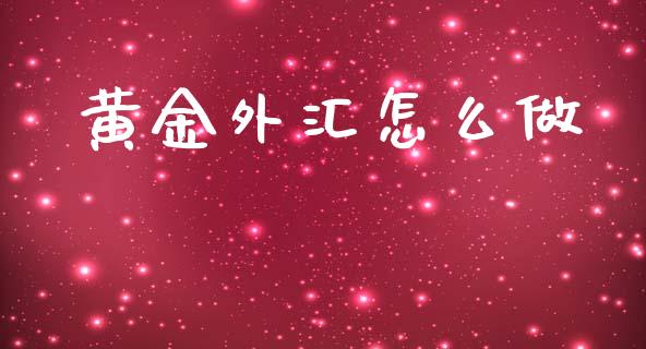 黄金外汇怎么做_https://wap.sdxiaoxijinshu.com_财经_第1张