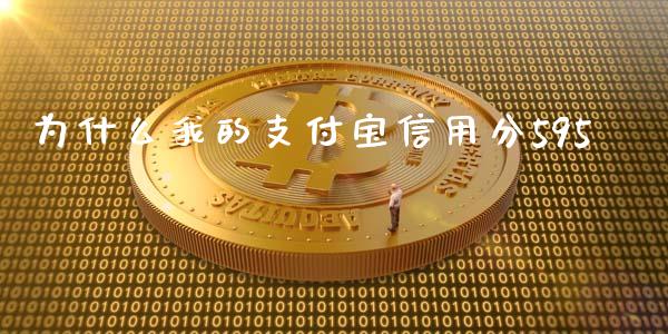 为什么我的支付宝信用分595_https://wap.sdxiaoxijinshu.com_理财_第1张