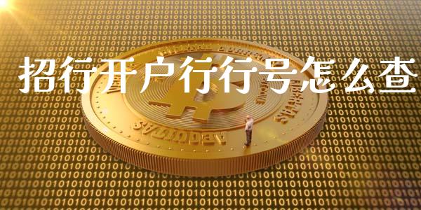 招行开户行行号怎么查_https://wap.sdxiaoxijinshu.com_金融_第1张