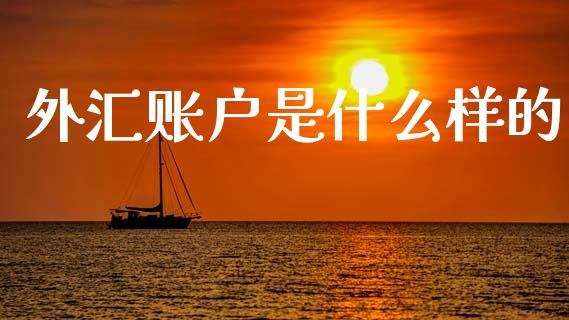 外汇账户是什么样的_https://wap.sdxiaoxijinshu.com_财经_第1张