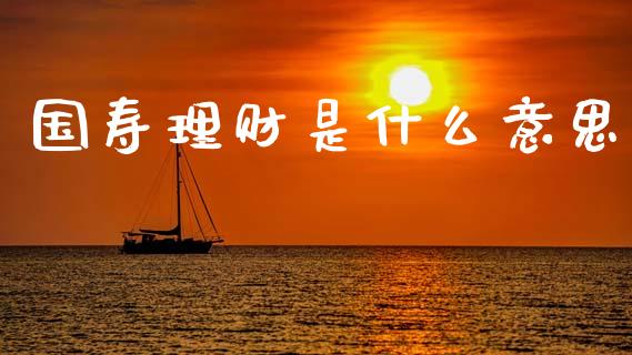 国寿理财是什么意思_https://wap.sdxiaoxijinshu.com_理财_第1张