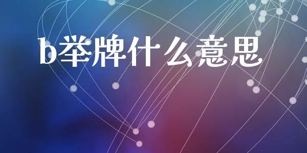 b举牌什么意思_https://wap.sdxiaoxijinshu.com_期货_第1张