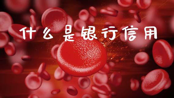 什么是银行信用_https://wap.sdxiaoxijinshu.com_金融_第1张