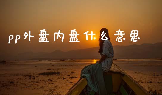 pp外盘内盘什么意思_https://wap.sdxiaoxijinshu.com_期货_第1张
