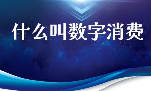 什么叫数字消费_https://wap.sdxiaoxijinshu.com_财经_第1张